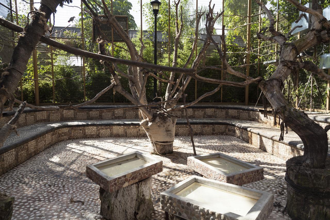 فندق إكسوكيتيبكفي  Bungalows Y Temazcal Zoviq المظهر الخارجي الصورة